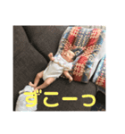 紬の日々（個別スタンプ：8）
