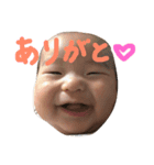 ひなたの日々スタンプ第1弾（個別スタンプ：5）