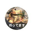 ハッピーな心の空をみつけて！（個別スタンプ：2）