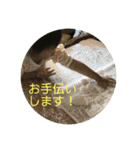 ハッピーな心の空をみつけて！（個別スタンプ：8）