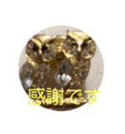 ハッピーな心の空をみつけて！（個別スタンプ：11）