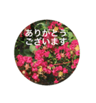 ハッピーな心の空をみつけて！（個別スタンプ：12）
