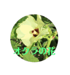 ハッピーな心の空をみつけて！（個別スタンプ：27）