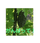 ハッピーな心の空をみつけて！（個別スタンプ：28）