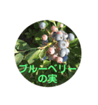 ハッピーな心の空をみつけて！（個別スタンプ：30）