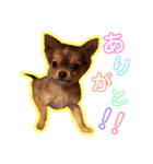森家ふーたの日常（個別スタンプ：4）
