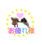 森家ふーたの日常（個別スタンプ：6）