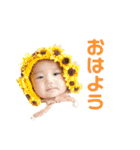 染と時々よかいち（個別スタンプ：3）