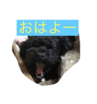ここ5050（個別スタンプ：1）