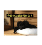 ここ5050（個別スタンプ：2）