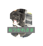 ここ5050（個別スタンプ：6）