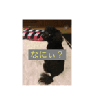 ここ5050（個別スタンプ：7）