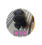 ここ5050（個別スタンプ：8）