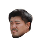 たまたまだよ（個別スタンプ：1）