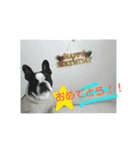 ムーとゆうの日常（個別スタンプ：39）