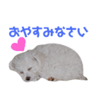 ♡クック＆マシュー♡（個別スタンプ：7）