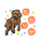 やっちゃん組（個別スタンプ：5）