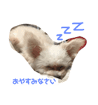 3代目QUEEN（個別スタンプ：1）