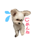 3代目QUEEN（個別スタンプ：2）