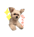 3代目QUEEN（個別スタンプ：3）