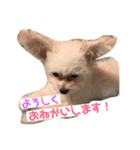 3代目QUEEN（個別スタンプ：4）