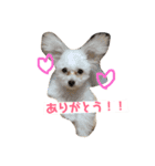 3代目QUEEN（個別スタンプ：5）