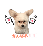 3代目QUEEN（個別スタンプ：6）
