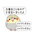 リピするオカメ（個別スタンプ：8）