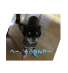 ボニ子の生活 2（個別スタンプ：3）