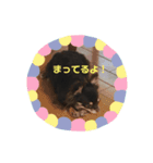 ボニ子の生活 2（個別スタンプ：5）
