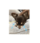 ボニ子の生活 2（個別スタンプ：8）