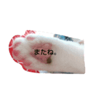 Ponkam（個別スタンプ：8）
