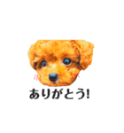 すいちゃん（個別スタンプ：1）