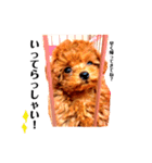 すいちゃん（個別スタンプ：3）