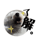 毎日くうちゃん（個別スタンプ：2）