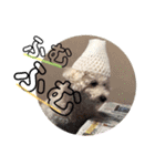 毎日くうちゃん（個別スタンプ：6）