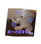 毎日くうちゃん（個別スタンプ：8）