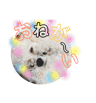 毎日くうちゃん（個別スタンプ：10）