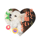 毎日くうちゃん（個別スタンプ：14）