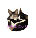 ルナとクロエの猫スタンプ（個別スタンプ：2）