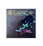 ルナとクロエの猫スタンプ（個別スタンプ：20）