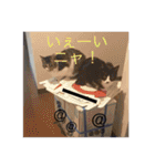 ルナとクロエの猫スタンプ（個別スタンプ：21）