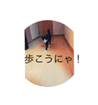 ルナとクロエの猫スタンプ（個別スタンプ：23）