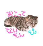 かりんこすたんぷ（個別スタンプ：1）