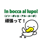 日本語とイタリア語会話のためのスタンプ（個別スタンプ：22）