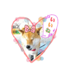 可愛いわんちゃん❤（個別スタンプ：8）