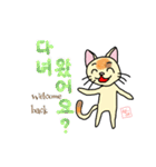 韓国語＆英語 ねこさん（個別スタンプ：8）