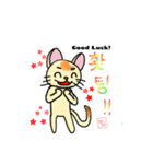 韓国語＆英語 ねこさん（個別スタンプ：17）