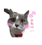 キキ0歳～2歳（個別スタンプ：2）
