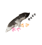 キキ0歳～2歳（個別スタンプ：3）